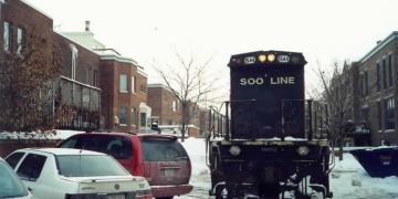 Snowy Lakewood Branch