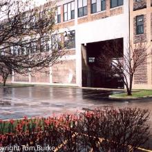 tb_cnw_elston_112609_11