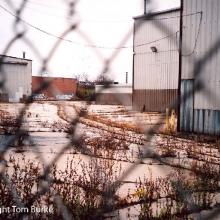 tb_cnw_elston_112609_7