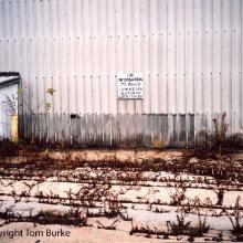 tb_cnw_elston_112609_8