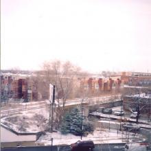 tb_bloomingdale_12012005_04