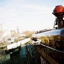 tb_lastdaybloom_01022007_04