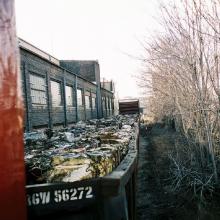tb_lastdaybloom_01022007_05