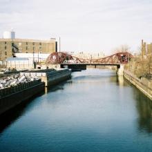 tb_lastdaybloom_01022007_07