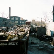 tb_lastdaybloom_01022007_09