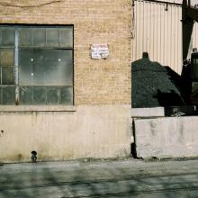 tb_lastdaybloom_01022007_23
