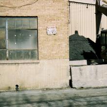 tb_lastdaybloom_01022007_24