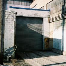 tb_lastdaybloom_01022007_25