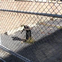 tm_kingsbury_09242004_10