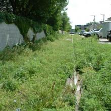 tm_lakewood_08092003_04