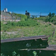 tb_cnw_deering_06_1990_5