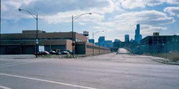 Rare Goose Island Photos