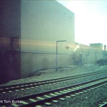 tb_blommer2_06112005_02